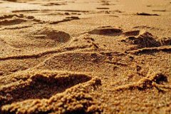 天然海沙常用规格及生产工艺
