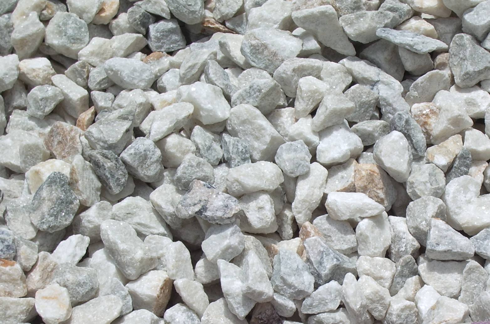 石灰岩(せっかいがん, limestone) - 岩石鉱物詳解図鑑planetscope